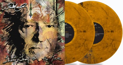 Willie Nelson/Last Leaf On The Tree (Amber Fossil Vinyl)@2LP