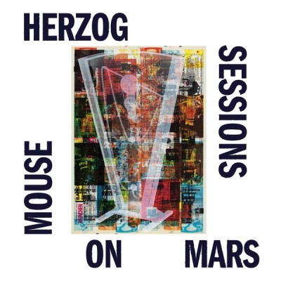 Mouse On Mars/Herzog Sessions