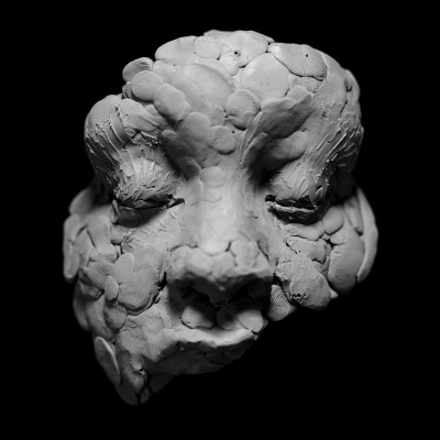 Joy Oladokun/OBSERVATIONS FROM A CROWDED ROOM