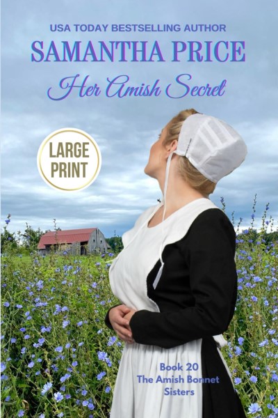 Her Amish Secret Large Print: Amish Romance