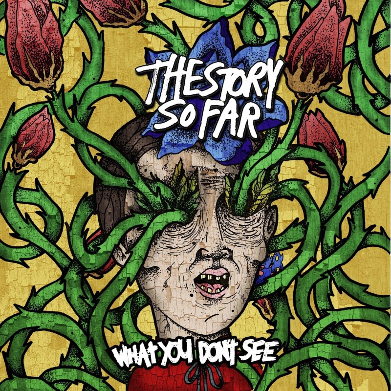 The Story So Far/What You Don't See (Tide Pods Marble Vinyl)
