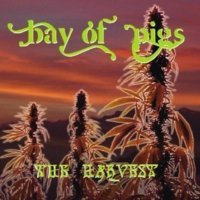 BAY OF PIGS/HARVEST