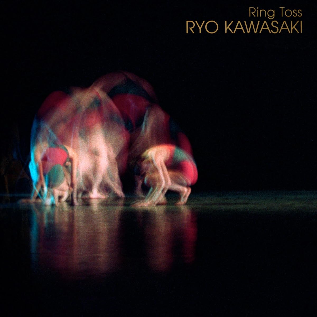 Ryo Kawasaki/Ring Toss