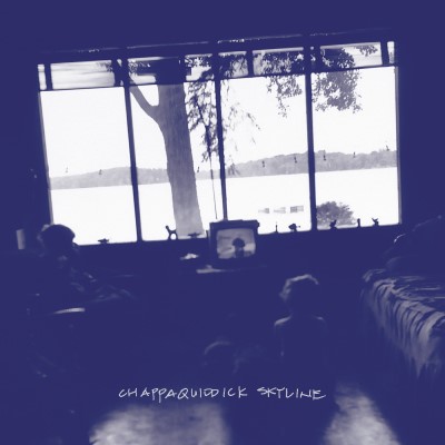 Chappaquiddick Skyline/Chappaquiddick Skyline (CLEAR VINYL)@Indie Exclusive