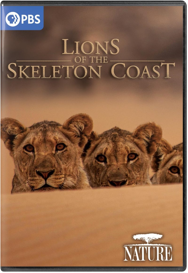 Nature/Lions Of The Skeleton Coast