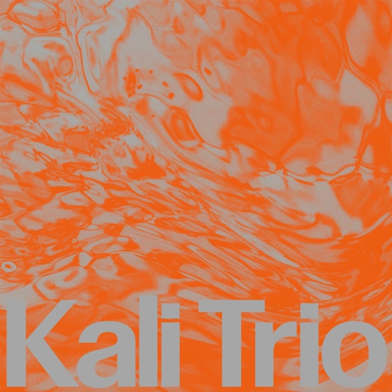 Kali Trio/Playful Abstract