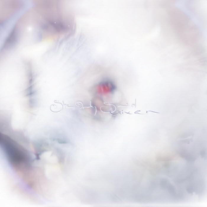 Glixen/She Only Said@Amped Exclusive