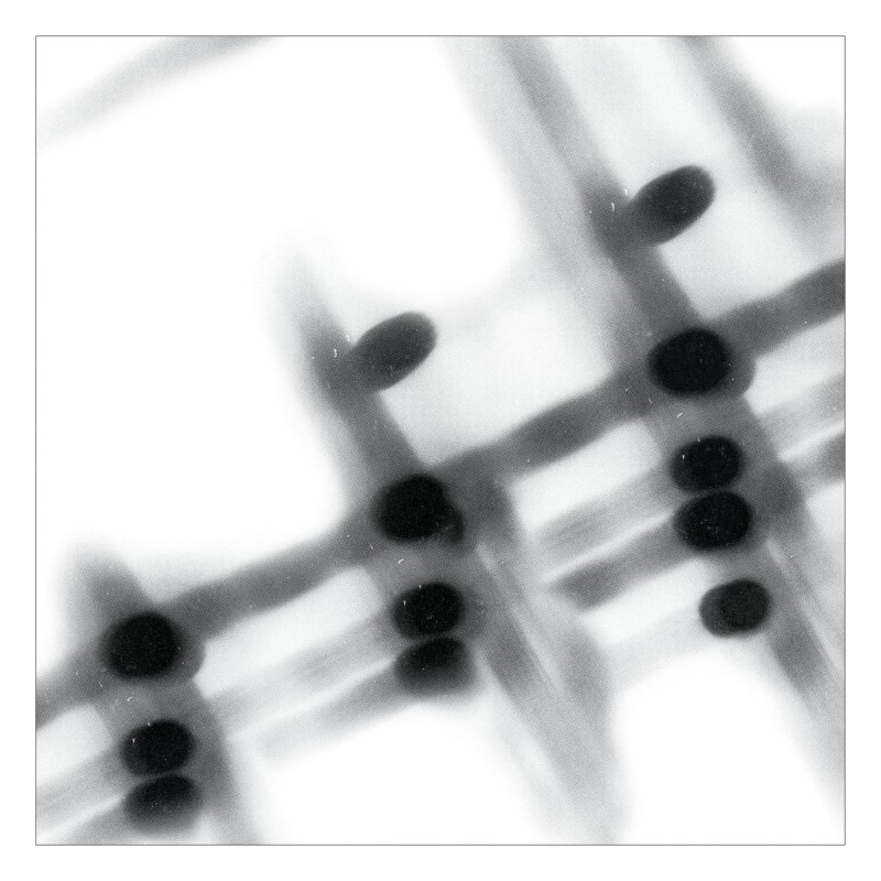 Gregor Samsa/0.027934027777777776