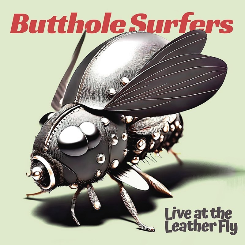 Butthole Surfers/Live at the Leather Fly
