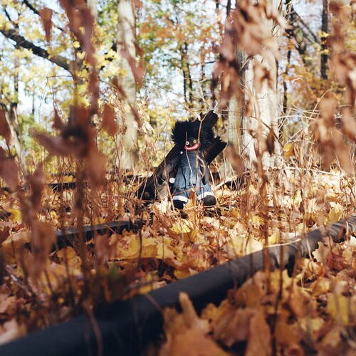 Billy Woods/Golliwog@Explicit Version