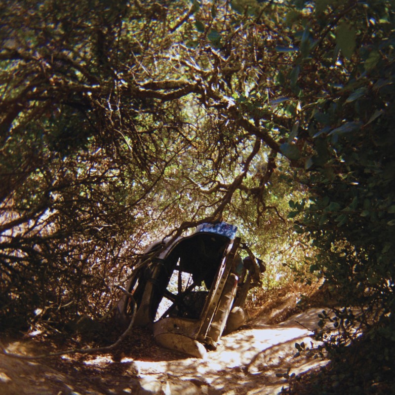 Ty Segall/Possession