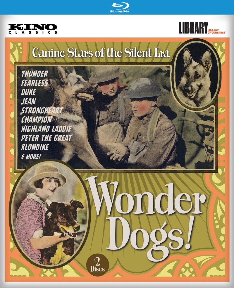 Wonder Dogs/Wonder Dogs