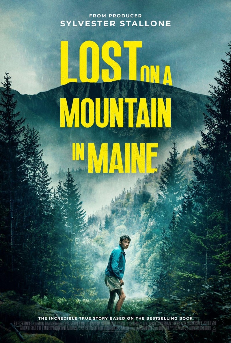 Lost On A Mountain In Maine/Blumm/Sparks@DVD