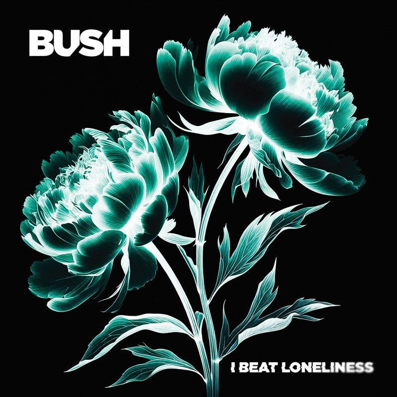 Bush/Beat Loneliness
