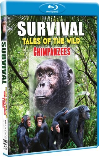 Chimpanzees/Survivial: Tales Of The Wild@Nr