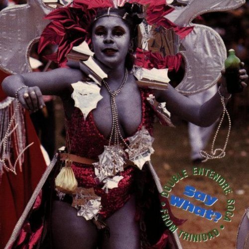 Double Entendre Soca From Trin/Say What?
