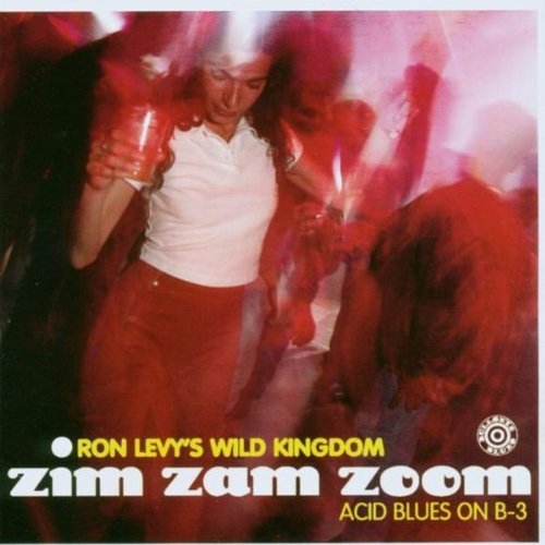 Ron Levy/Zim Zam Zoom-Acid Blues On B-3