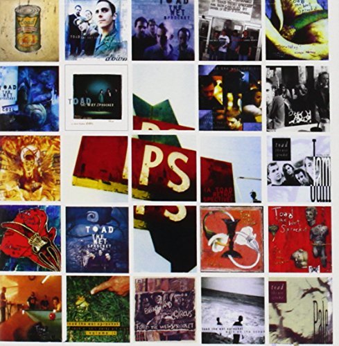 Toad The Wet Sprocket/P.S. (A Toad Retrospective)