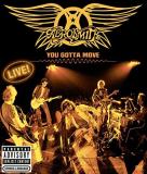 Aerosmith Aerosmith You Gotta Move 