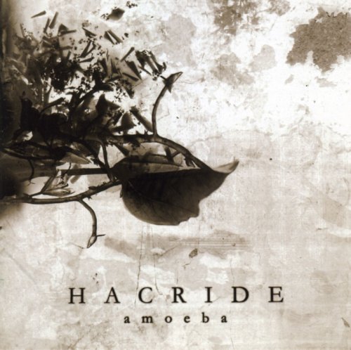 Hacride/Amoeba