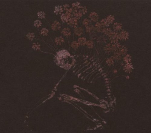 Tenhi/Folk Aesthetic 1996-2000@Import-Gbr