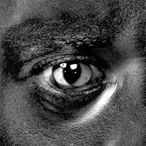 Wiley/Evolve Or Be Extinct@Digipak
