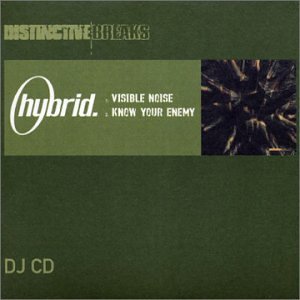 Hybrid/Visible Noise