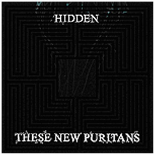 These New Puritans/Hidden@Import-Eu