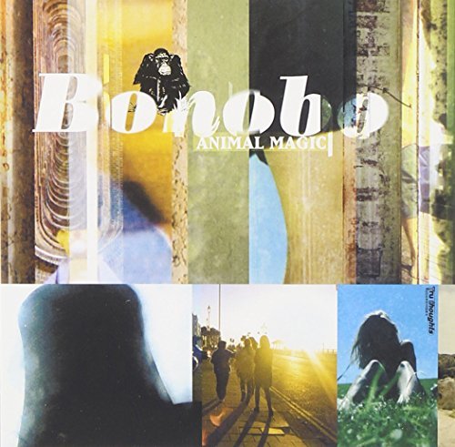 Bonobo/Animal Magic