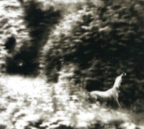 Syd Matters/Ghost Days@Import-Eu