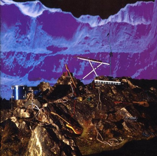 Late Of The Pier/Fantasy Black Channel@Import-Eu