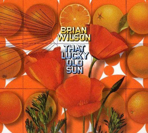 Brian Wilson/That Lucky Old Sun@Incl. Dvd