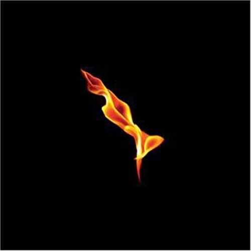 Turin Brakes/Dark On Fire@Import-Eu