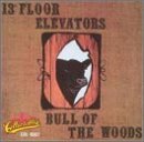 13th Floor Elevators/Bull Of The Woods