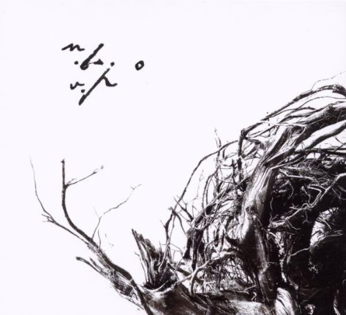 NEGURA BUNGET/VIRSTELE PAMINTULUI