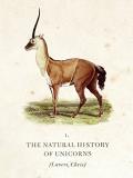 Chris Lavers Natural History Of Unicorns The 