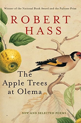 Robert Hass The Apple Trees At Olema A Novel Of Suspense 