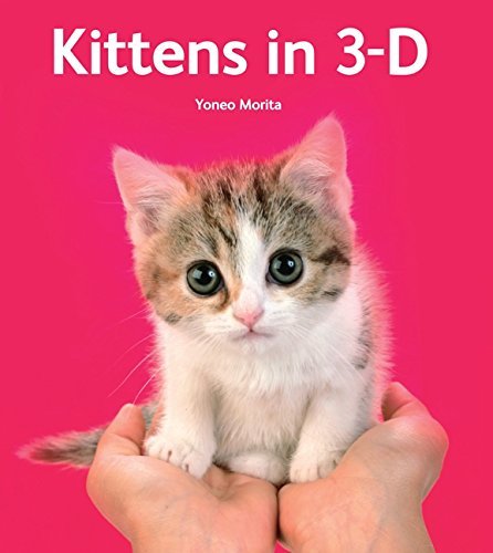 Yoneo Morita Kittens In 3 D [with 3 D Viewer] 