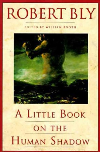 Robert Bly A Little Book On The Human Shadow 
