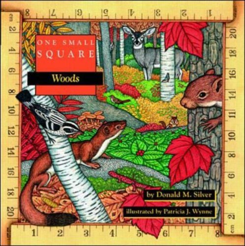 Patricia Wynne One Small Square Woods Revised 