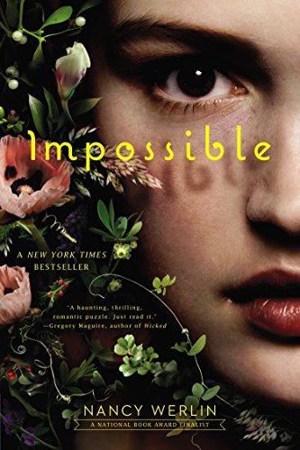 Nancy Werlin/Impossible