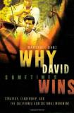 Marshall Ganz Why David Sometimes Wins Leadership Organization And Strategy In The Cal 