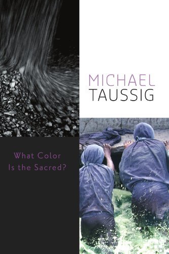Michael Taussig/What Color Is the Sacred?