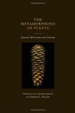 Johann Wolfgang Von Goethe The Metamorphosis Of Plants Revised 