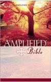 Zondervan Publishing Amplified Bible Am 