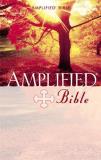 Zondervan Publishing Amplified Bible Am 