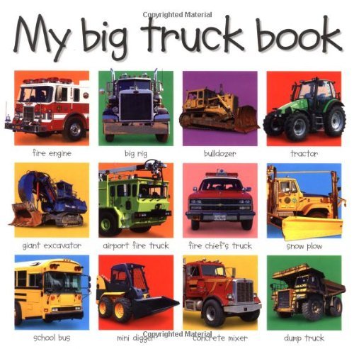 Roger Priddy/My Big Truck Book