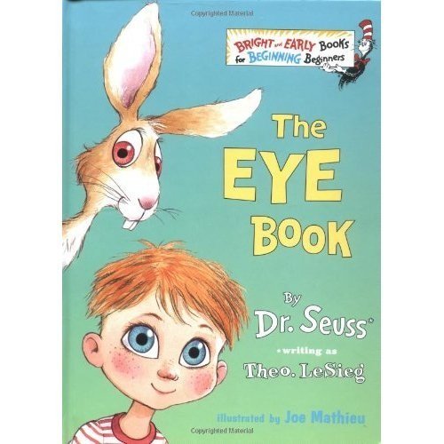 Theo Lesieg The Eye Book Revised 