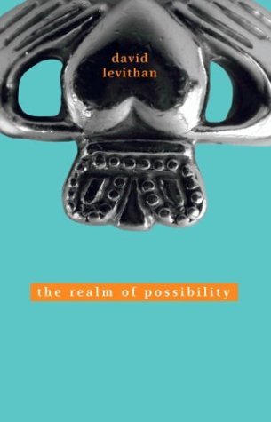 David Levithan/Realm Of Possibility,The
