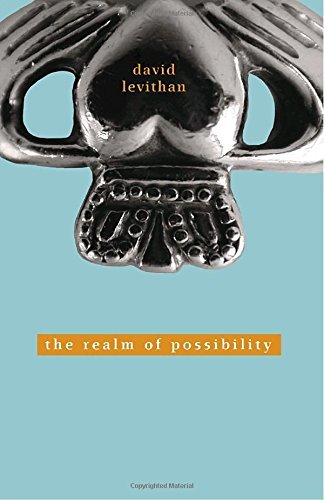 David Levithan/The Realm of Possibility@Reprint